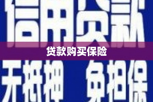 砀山贷款购买保险