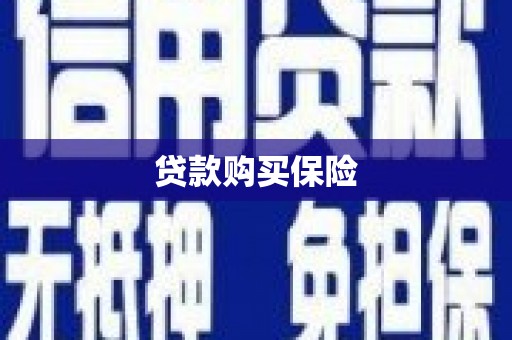 砀山贷款购买保险