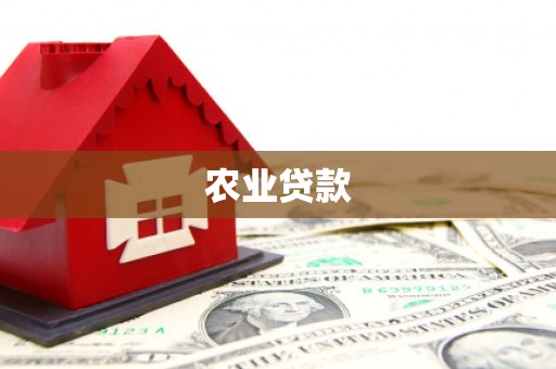 砀山农业贷款