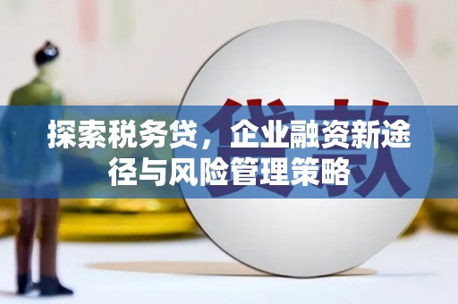 砀山探索税务贷，企业融资新途径与风险管理策略