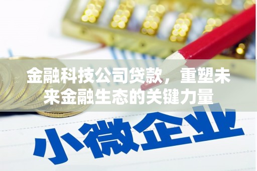 砀山金融科技公司贷款，重塑未来金融生态的关键力量