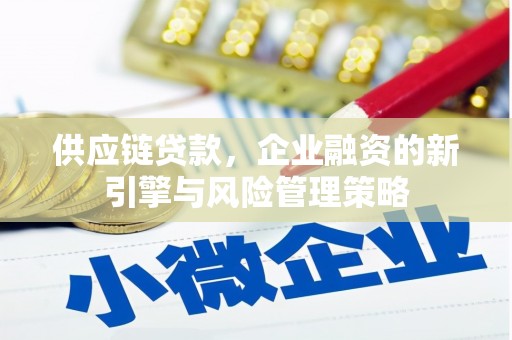 砀山供应链贷款，企业融资的新引擎与风险管理策略