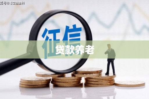 砀山贷款养老