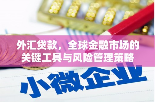 砀山外汇贷款，全球金融市场的关键工具与风险管理策略
