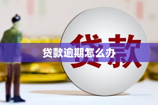 砀山贷款逾期怎么办