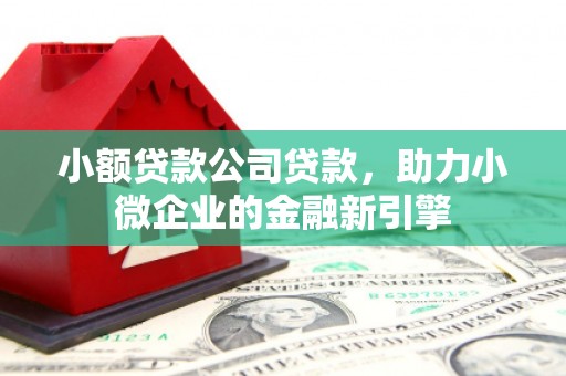 砀山小额贷款公司贷款，助力小微企业的金融新引擎
