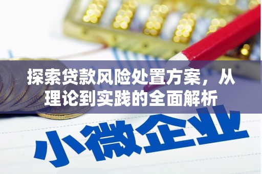 砀山探索贷款风险处置方案，从理论到实践的全面解析