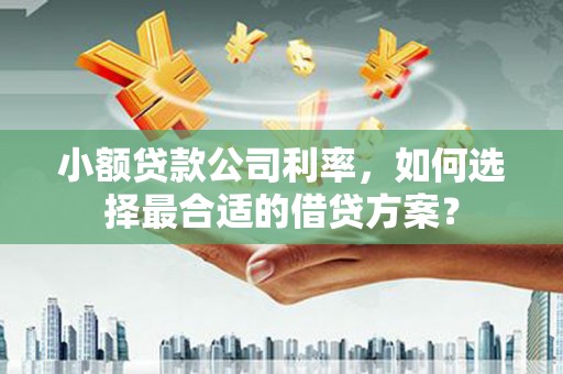 砀山小额贷款公司利率，如何选择最合适的借贷方案？