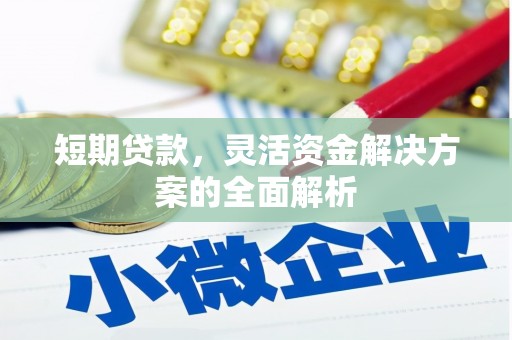 砀山短期贷款，灵活资金解决方案的全面解析