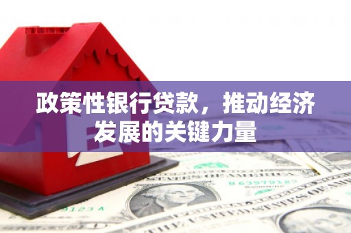 砀山政策性银行贷款，推动经济发展的关键力量