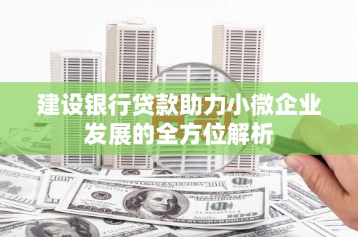 砀山建设银行贷款助力小微企业发展的全方位解析