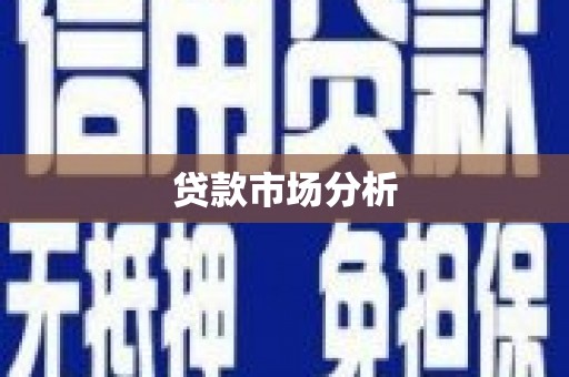 砀山贷款市场分析