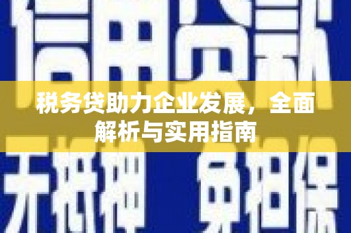 砀山税务贷助力企业发展，全面解析与实用指南