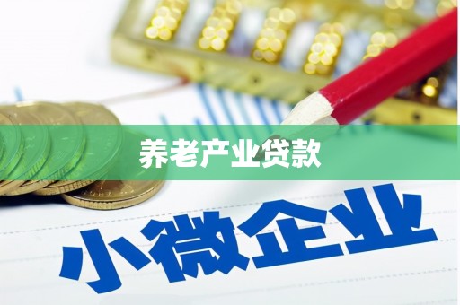 砀山养老产业贷款