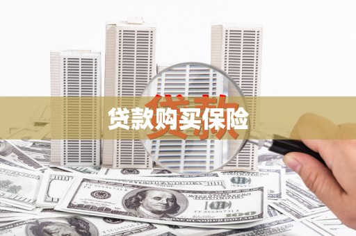 砀山贷款购买保险