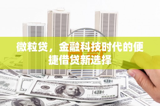 砀山微粒贷，金融科技时代的便捷借贷新选择