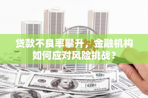 砀山贷款不良率攀升，金融机构如何应对风险挑战？