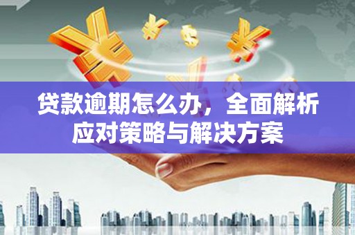 砀山贷款逾期怎么办，全面解析应对策略与解决方案