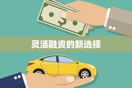 砀山灵活融资的新选择