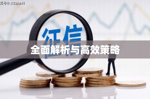 砀山全面解析与高效策略