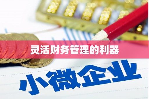 砀山灵活财务管理的利器