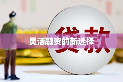 砀山灵活融资的新选择