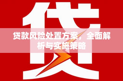 砀山贷款风险处置方案，全面解析与实施策略