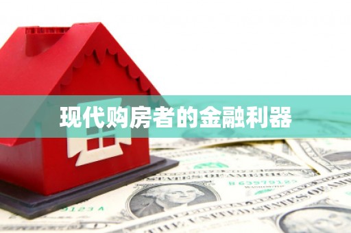 砀山现代购房者的金融利器