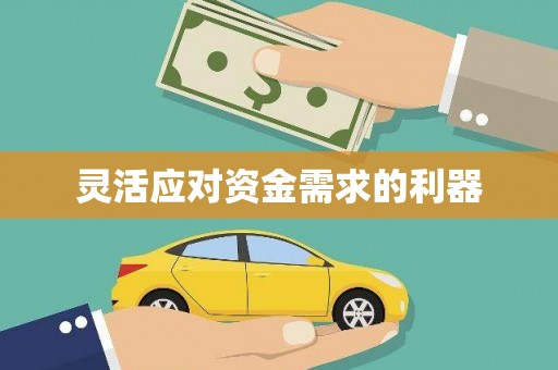 砀山灵活应对资金需求的利器
