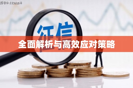 砀山全面解析与高效应对策略