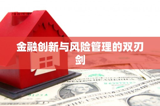 砀山金融创新与风险管理的双刃剑