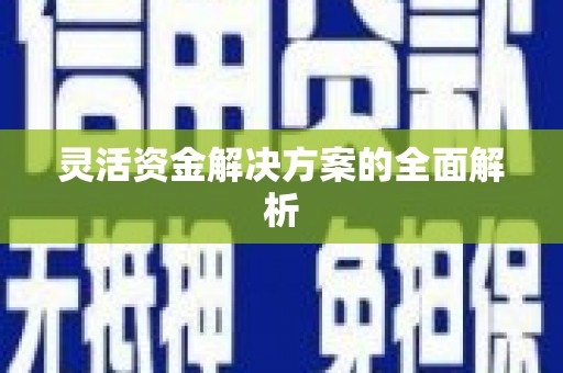 砀山灵活资金解决方案的全面解析