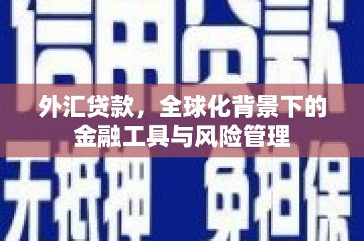 砀山外汇贷款，全球化背景下的金融工具与风险管理