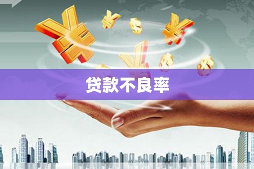砀山贷款不良率
